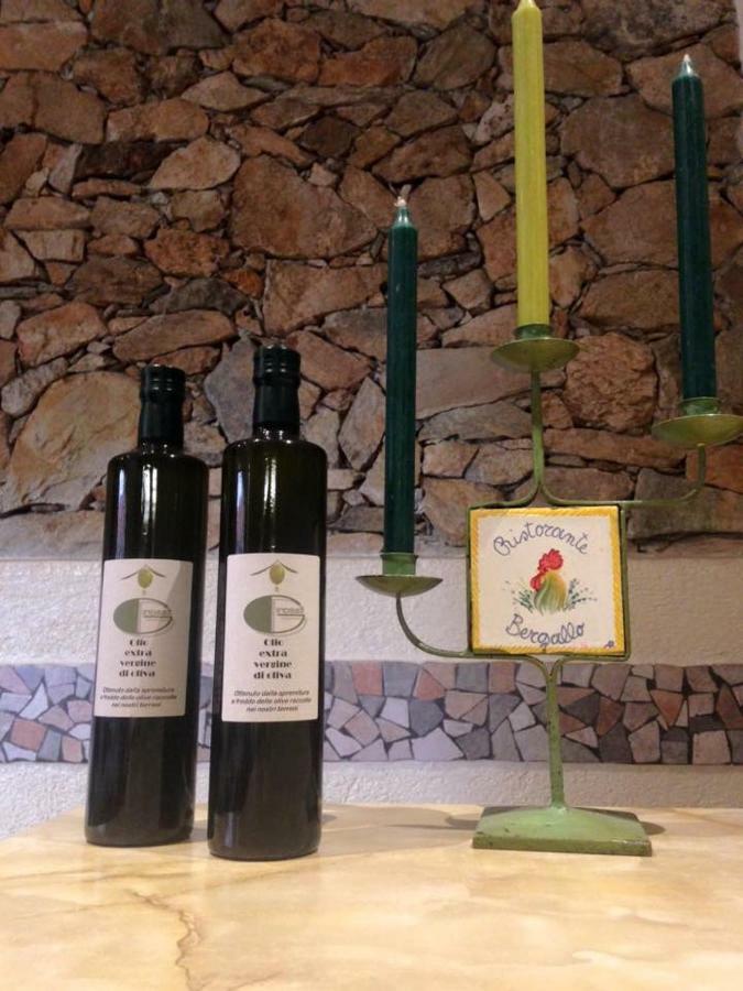 Albergo Ristorante Bergallo Tovo San Giacomo Extérieur photo